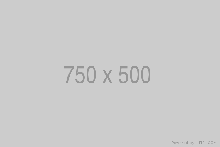750x500 placeholder
